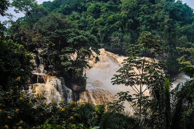 A silent genocide is unfolding in congo,​ church sources warn - National ‌Catholic Reporter