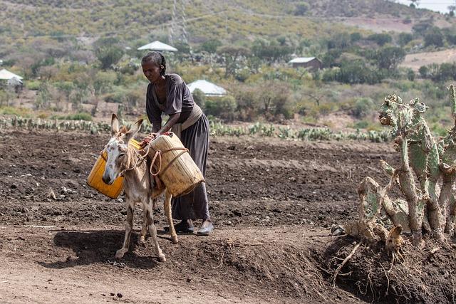 Ethiopia – Agriculture, Coffee, Trade – Britannica