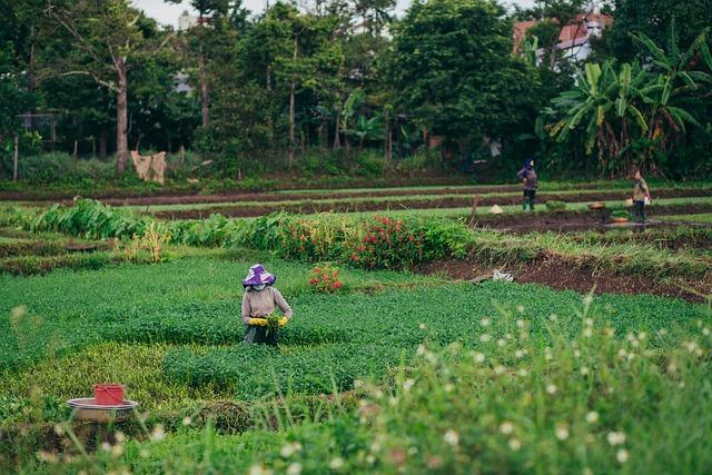 Smallholder farmers from Africa call for improved access to technology to enable regenerative agriculture and foster resilience - Bayer