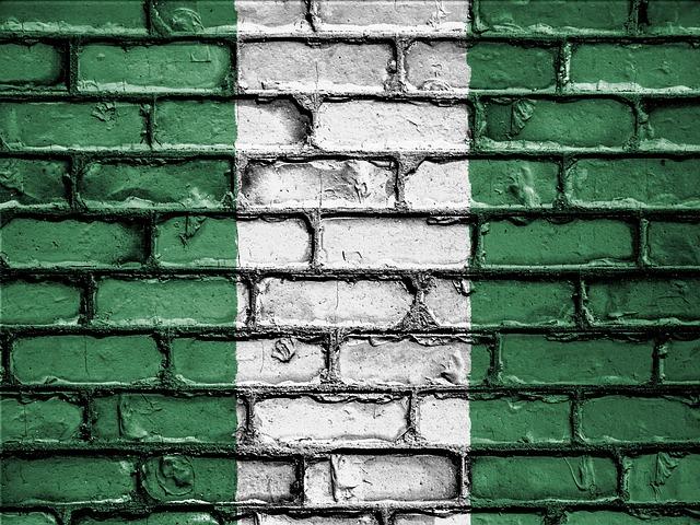 Nigeria’s leather industry has a new market – CNN International