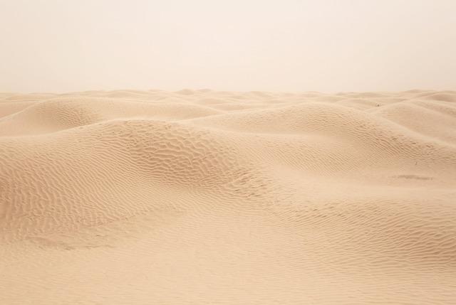 What Tunisia’s Municipalities Can Contribute to Climate Adaptation – Carnegie Endowment for International Peace