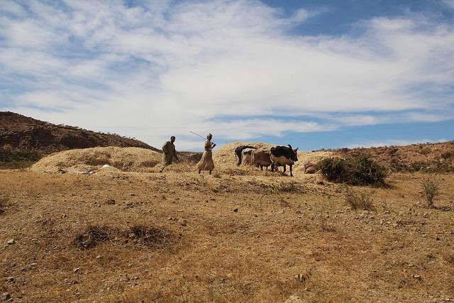 Empowering Women through Community Initiatives in Eritrea