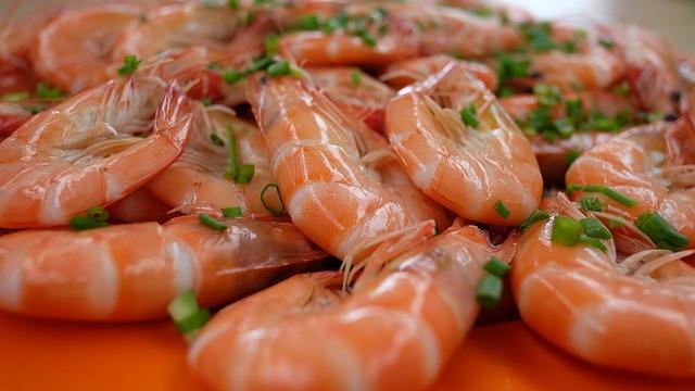 Liberia to start industrial shrimp fishing, worrying artisanal fishers – Mongabay.com