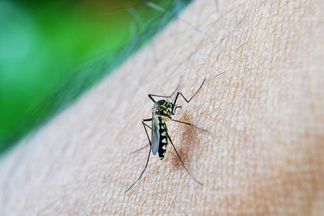 No disease is deadlier in Africa than malaria. Trump’s US aid cuts weaken the fight against it – Newsday
