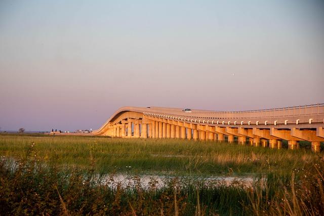 Zambia River suffers Catastrophic Decline Following Pollution Incident