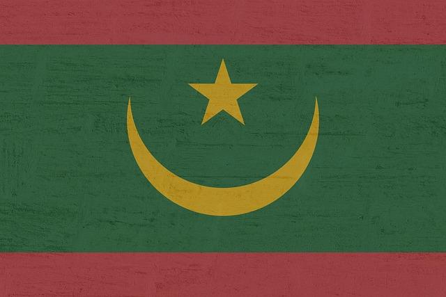 Meeting ‍with President‍ of Mauritania Mohamed Ould Cheikh‍ El Ghazouani ‌-⁢ President of Russia
