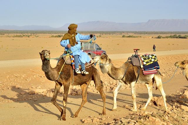 Morocco’s Rising Tourism Appeal: A Shift in african Travel Trends