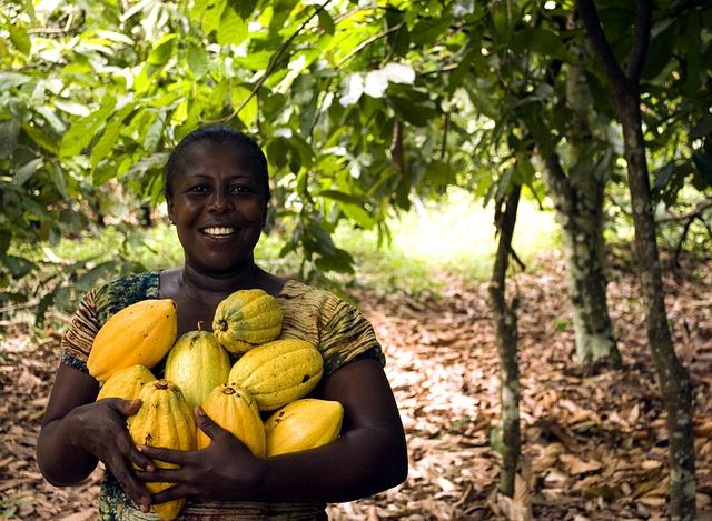 Ghana: African Development Bank’s 2024-2029 Country Strategy Paper for Ghana prioritises support for industrialisation and sustainable transport infrastructure – African Development Bank