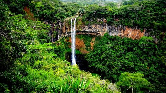Mauritius becomes latest African country to report mpox – APANEWS