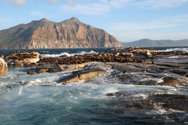 US says South Africa’s ambassador “is no longer welcome” in the country – Business Insider Africa