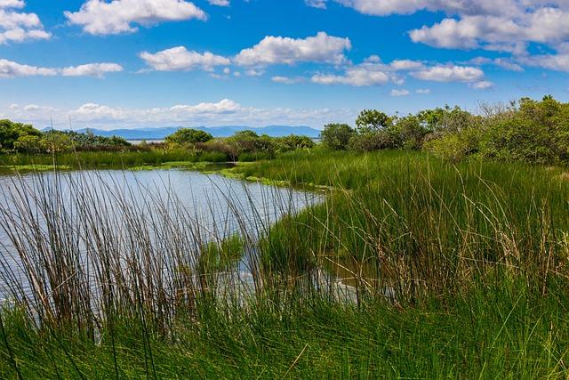 ‘Capturing Water’ Spotlights South Africa’s Grassroots Fight to Preserve Precious Resource Before It Runs Out - imdb