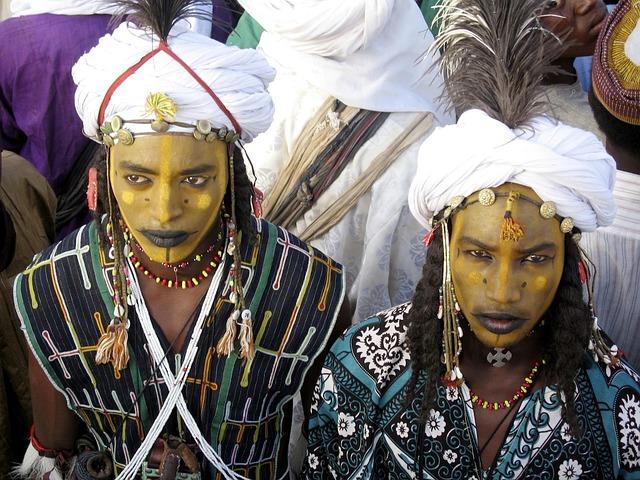 Niger becomes the latest African country to get Elon Musk’s Starlink – Business Insider Africa