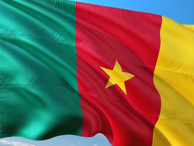 Cameroon: Meet Patricia Balme, Paul Biya’s devoted spin doctor – The Africa Report