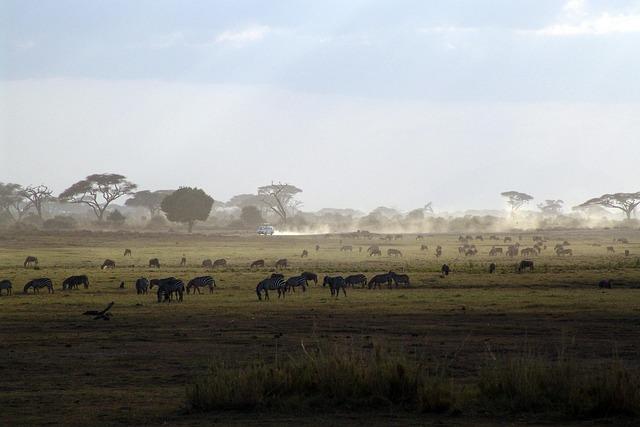 East African bloc urges South Sudan to free arrested officials – Reuters