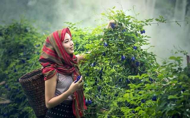 Support Mechanisms Needed for Empowering young Farmers in a Changing Climate