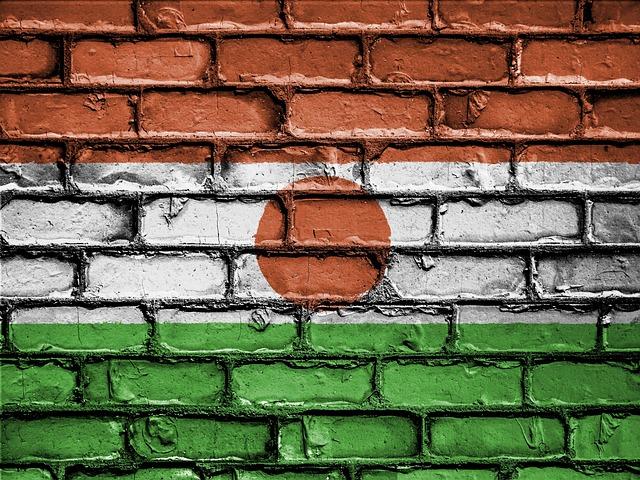 Niger Junta expels three Chinese oil executives – MSN