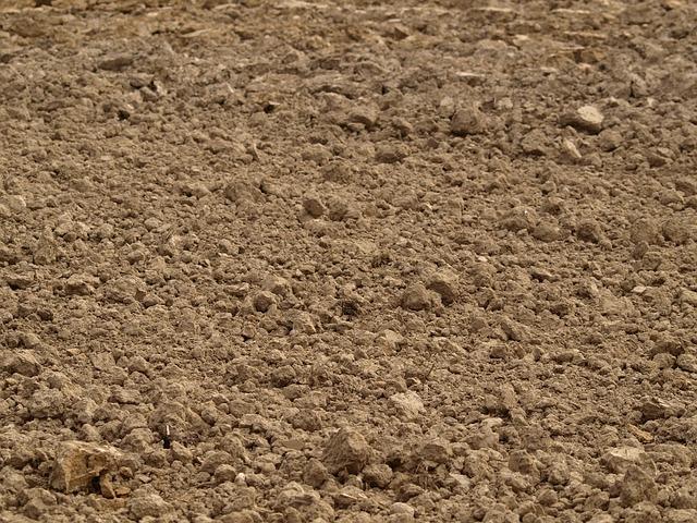 Assessing the Crisis: Understanding soil Degradation in Kenya