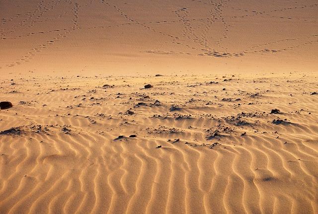 Safety Tips for Adventurous Travelers in the Desert Terrain