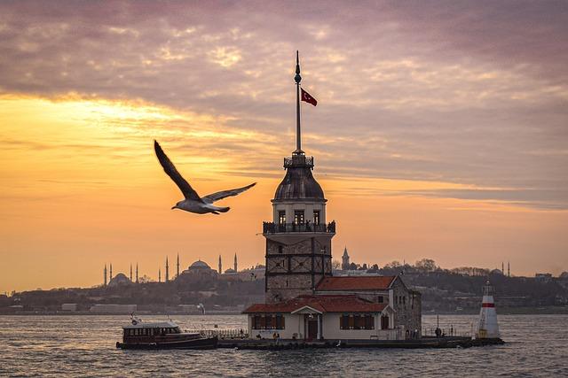 Challenges and Opportunities: Navigating Regulatory Landscapes in Turkey