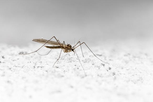 Recommendations ‍for Future Vector Control ‍and Surveillance‍ Efforts