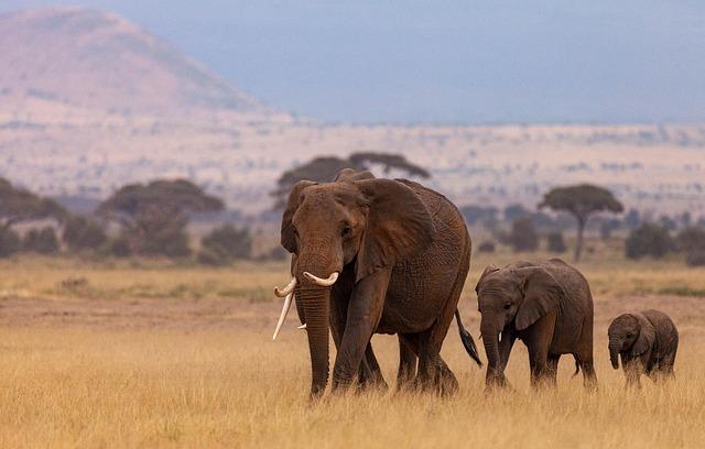 Africa’s sunniest country where you can bask in sunshine 10 hours a day in March – Express