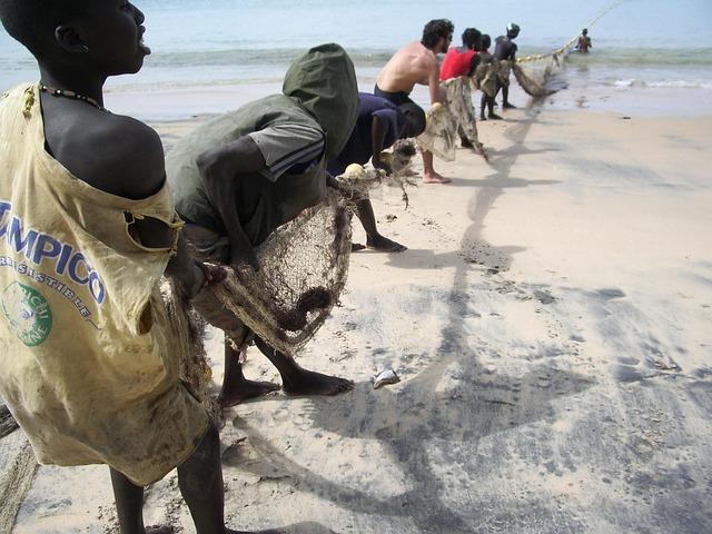 Senegal sets out to secure fairer partnerships in mining sector – RFI English