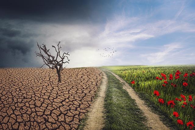 Climate change fuels African floods that hit harder in vulnerable regions – Mongabay.com