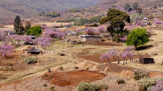 Lesotho Case Study | Climate Refugees – Othering & Belonging Institute
