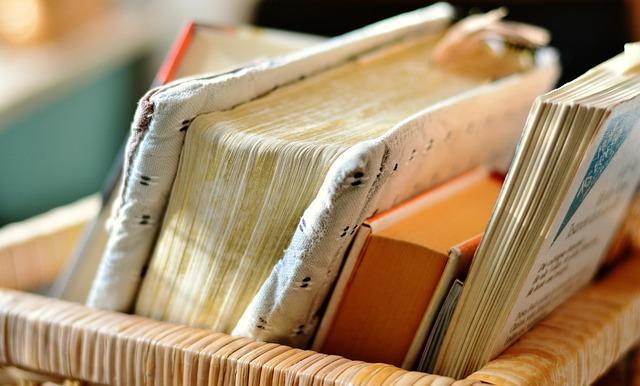 Mozambique’s second-hand clothing industry fuels economy, supports over 200,000 jobs – just-style.com