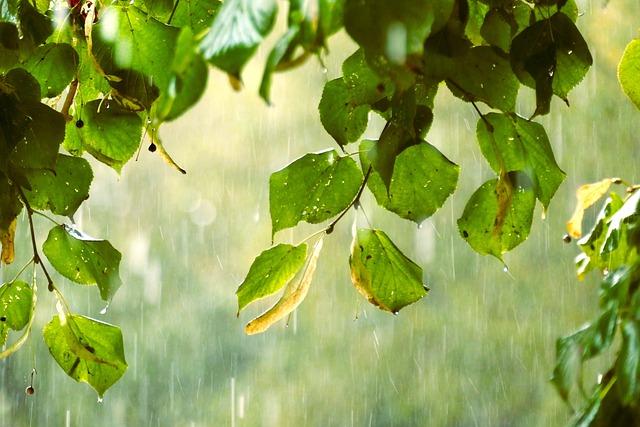 Heavy rains in Lake Chad Basin leave hundreds dead across countries – Mongabay.com