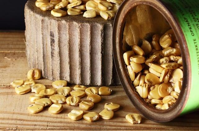 Bayer Opens Maize Seed Facility in Zambia to Support Food Security for about 30 Million People – Bayer