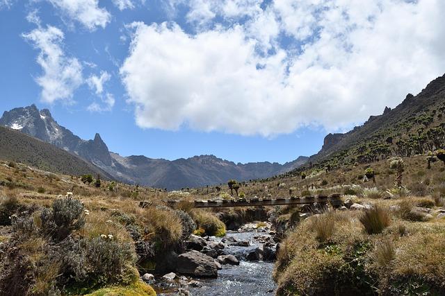 The rise and fall of Kenya’s pyrethrum empire – Nation
