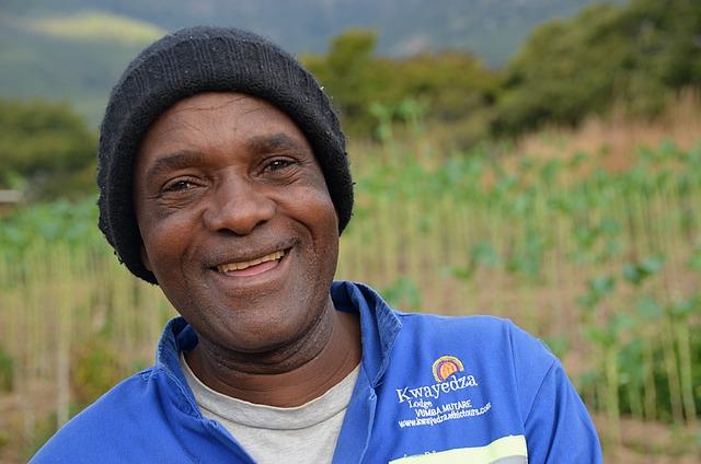 Zimbabwe: Revised taxes, regulatory fees in six months – ZAWYA
