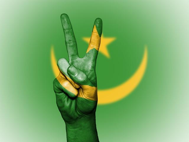 Mauritania bolsters military capabilities with Chinese weaponry acquisition – Military Africa