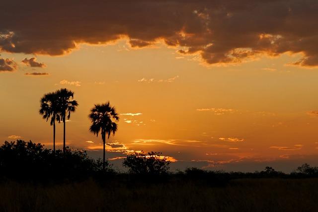 Botswana: Scatec commissions utility scale solar PV plant – African Energy
