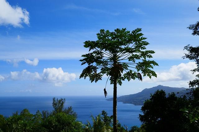 Seychelles transforms island prison for drug traffickers into military training camp – Africanews English