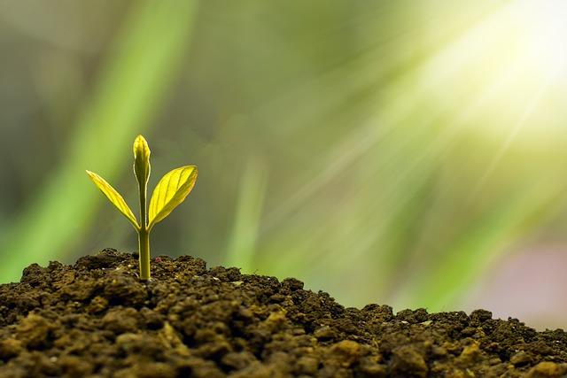 IFC To Back Africa’s Tech Future with USD 6 M Investment in Ventures Platform Fund II – WeeTracker