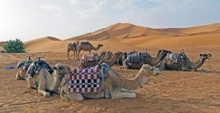 IATA Welcomes Morocco’s ‘Airports 2030 Strategy’ – Mirage News