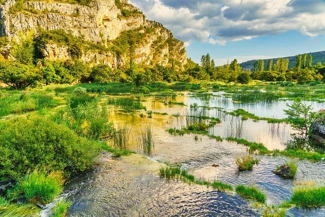 A river ‘died’ overnight in Zambia after an acidic waste spill at a Chinese-owned mine – The Associated Press