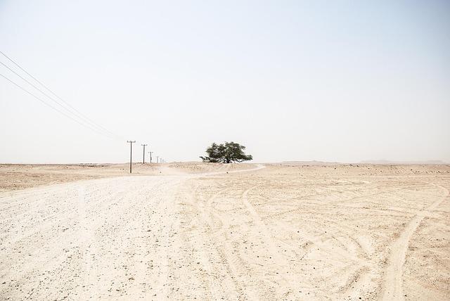 Desert to Power: The African Development Bank Group, Eritrea sign agreement for 12 MW mini-grid project – African Development Bank