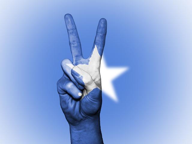 Somalia courts MAGA and Musk as Somaliland recognition talk picks up – The Africa Report