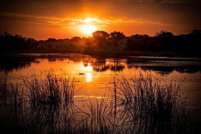 South Africa Faces Water Crisis Amid Mismanagement – Evrim Ağacı