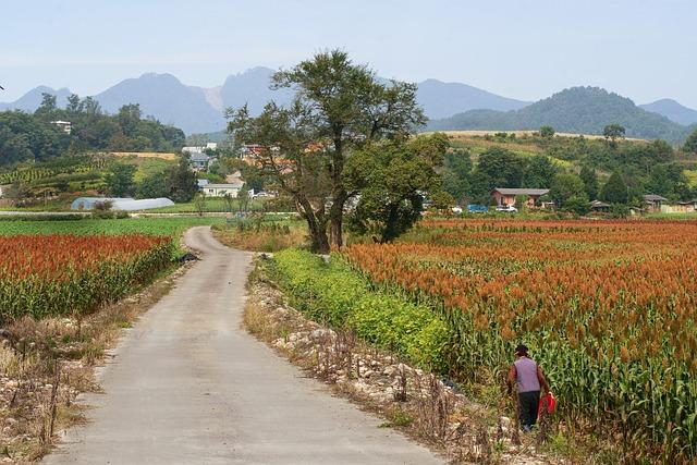 5 best African countries for education – Business Insider Africa