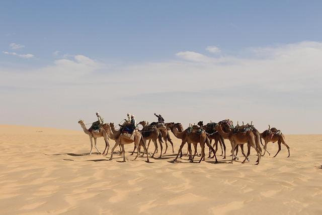Chad opens consulate in Morocco-ruled Western Sahara – Reuters