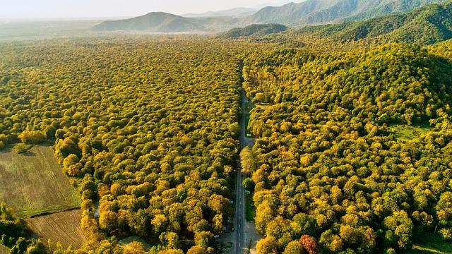 Challenges Faced⁣ in ‌Implementing Drone Solutions in Burundi's ‍National Parks