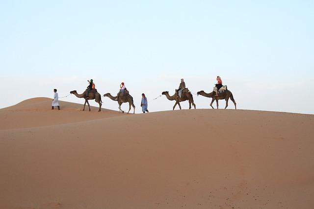 Recommendations for Stakeholders in the Moroccan Tourism Sector