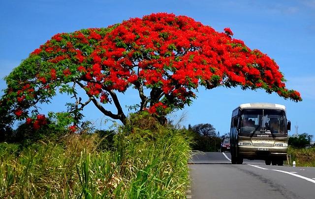 Africa’s happiness gap: Mauritius shines while Sierra Leone, Zimbabwe trail behind – The Africa Report