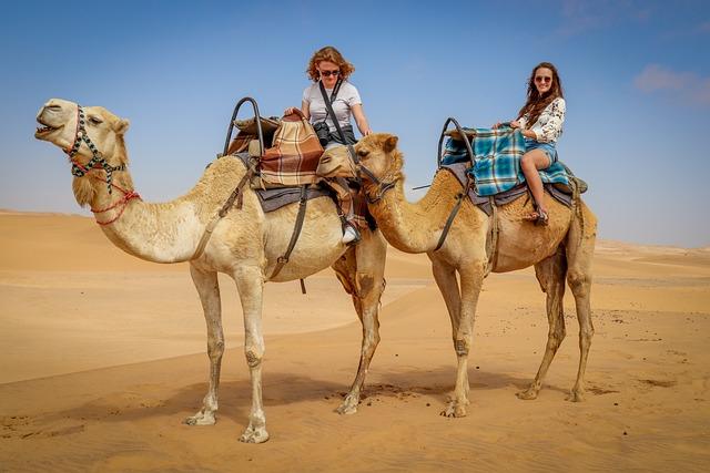 Africa needs to consolidate on tourism recovery, growth with sports tourism worth $610bn – UN Tourism – Businessday