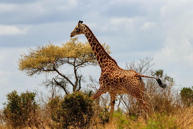 Report: Only 20pc of Kenya’s soil is suitable for food production – Nation