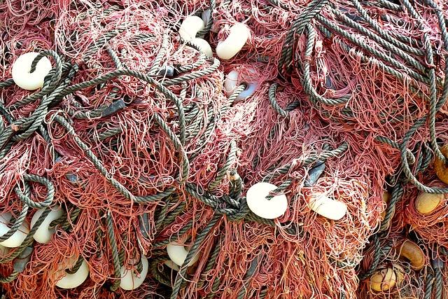 Overfishing and pollution: Threats to Gambia’s blue economy – DW (English)